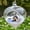 Clear, variant on Clearance Office&Craft&Stationery under $5,Vase Hydroponic Home Flowerware Succulents Decor Transparent Onion Glass Hanging Home DIY