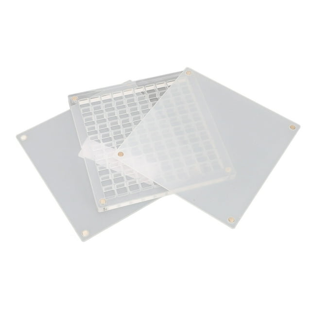 Caja De Exhibición De Concha Acrílica, Caja De Visualización De Conchas Marinas Magnéticas Acrílicas, Caja De Almacenamiento Transparente Con Cierre Magnético Para