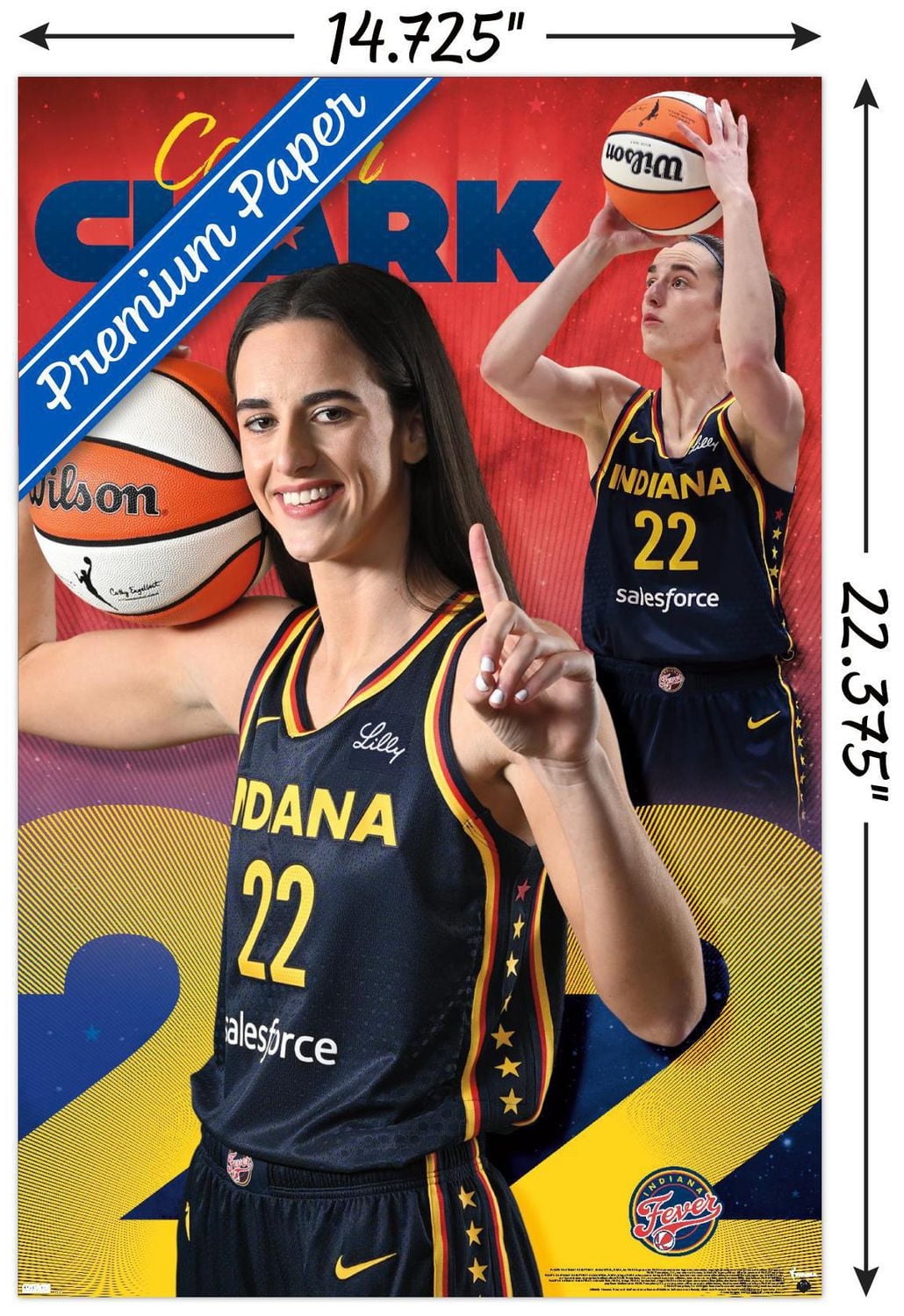 WNBA Indiana Fever