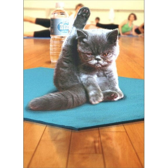 Avanti Press Kitten Yoga Cat Just for Fun Card
