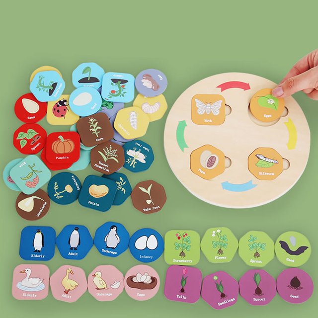 Juguetes De Ciclo De Vida Para Niños, Juego De 4 Formas De Animales, Clasificación A Juego, Juguetes De Ciclo De Vida De Madera Educativos Para Preescolar En Casa