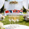 thumbnail image 4 of International Toothpick Skewers For Parties Celebrations And Events Decorative Food Picks, 4 of 8