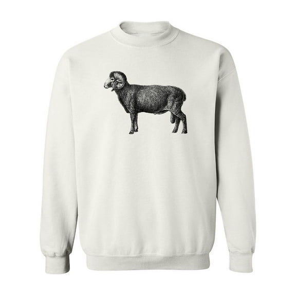 Horned Merino Sheep Sketch Sweatshirt Men -Image by Shutterstock, Male Small
