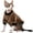 Coffee, variant on HQREA Sphynx Hairless Cat Sweater Solid Soft Sweater Outfit Pullover Autumn WinterThickened Sphynx Clothes Cat Apparel