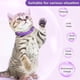 thumbnail image 2 of Paquete de 3 collares calmantes para gatos y gatitos Collar de feromonas Alivia eficientemente Reduce la ansiedad Estrés Feromonas Calma Relajante Cómodo Collar de separación, 2 of 3