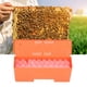 thumbnail image 4 of Jaula De Abeja Reina, Caja De Transporte De Jaula De Rey De Fácil Instalación De Plástico Herramienta De Apicultura Liviana Para Granja De Abejas ANGGREK Otros, 4 of 8