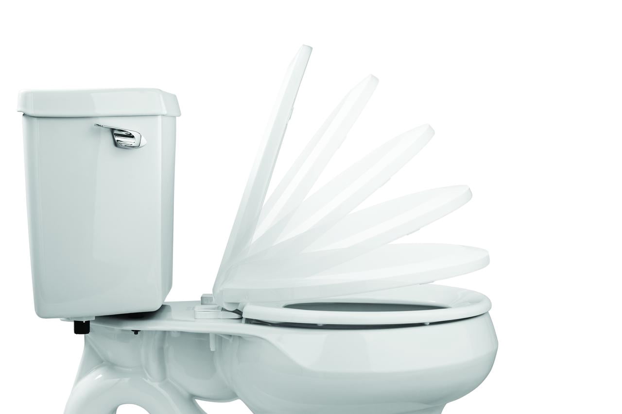 Mainstays Elongated Plastic Toilet Seat with Soft Close and Easy off in Daisy White