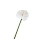 thumbnail image 2 of Flor de imitación de anturio,grulla de fuego,palmera artificial,arreglo floral para el salón de bodas,vegetación para el hogar,flores artificiales decorativas, 2 of 6