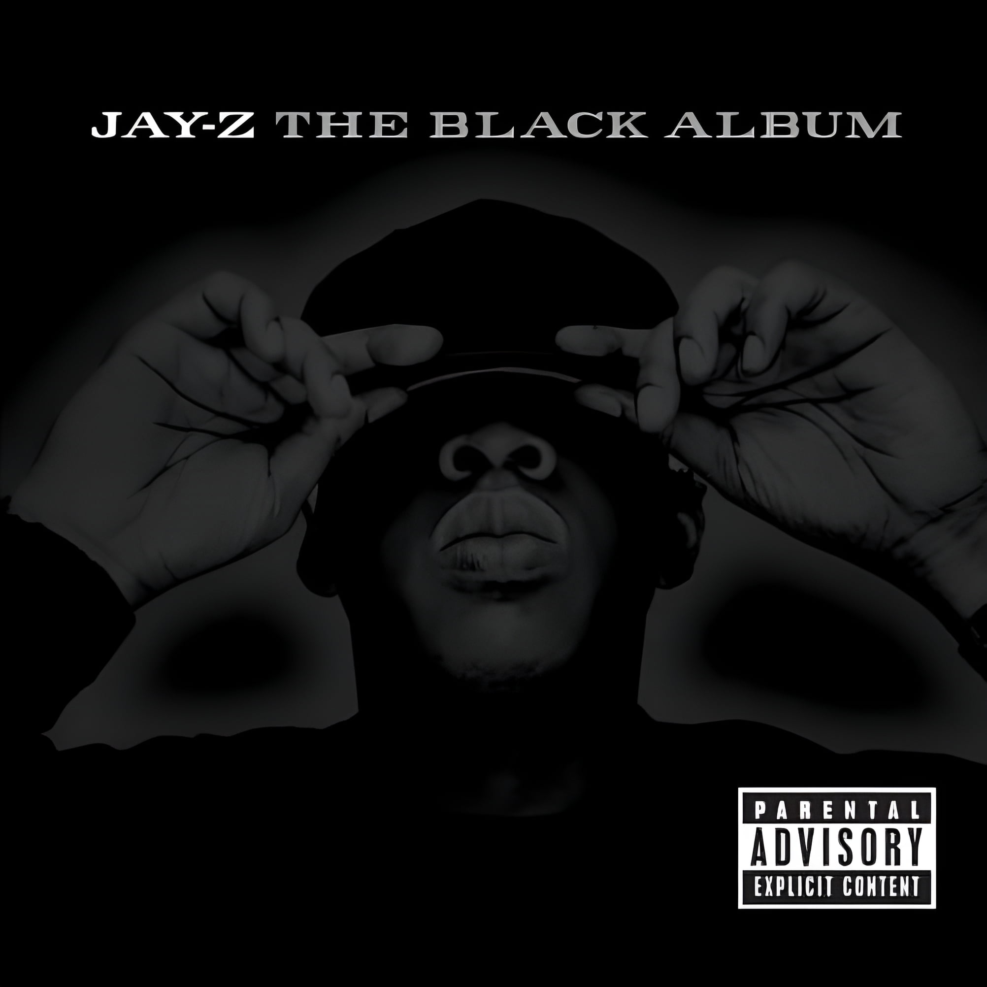 Jay-Z - The Black Album - Music & Performance - Vinyl - Walmart.com