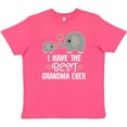 thumbnail image 3 of Inktastic Grandchild Best Grandma Ever Youth T-Shirt, 3 of 5