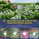 thumbnail image 5 of Luces Solares para Exteriores NQ Paquete de 1 Impermeables para Jardín, 5 of 5