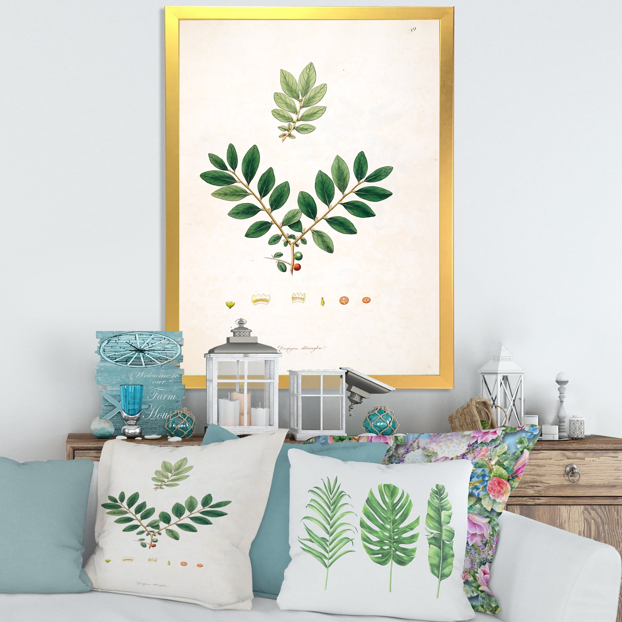 Designart 'Ancient Plant Life XIV' Farmhouse Framed Art Print