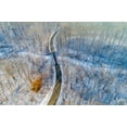 thumbnail image 2 of Day, Richard and Susan 18x13 Black Ornate Wood Framed with Double Matting Museum Art Print Titled - Aerial view of forest and road after snowfall in winter Stephen A Forbes State Recreation Area, 2 of 4