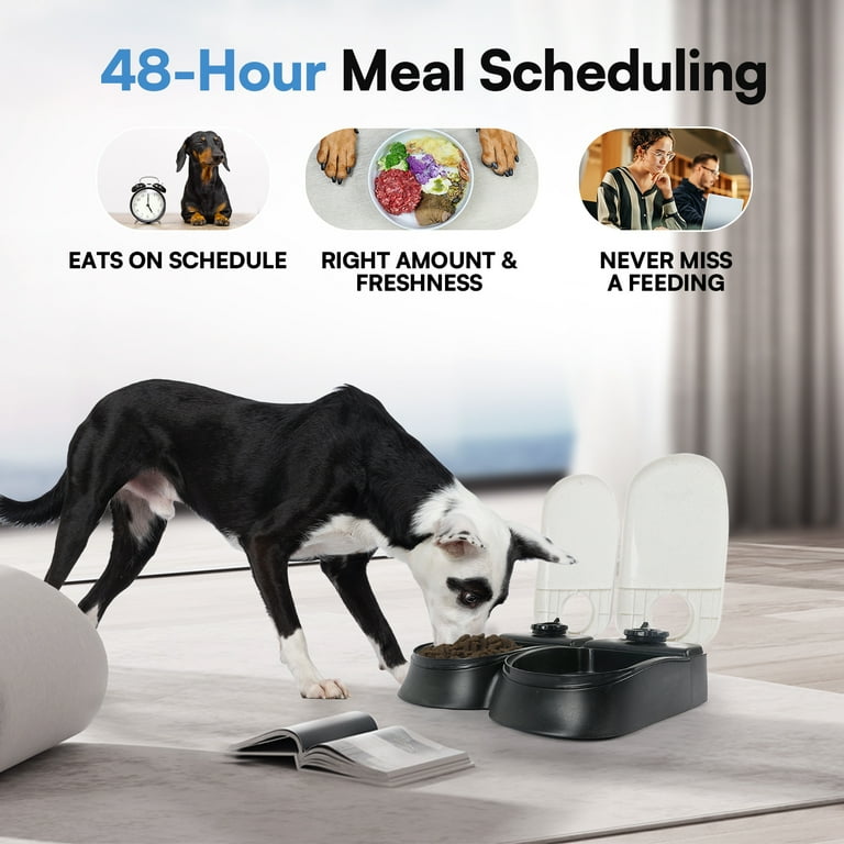 Pawise Automatic Cat Feeder with 48hr Timer Dog Food Dispenser with Ice Packs Double White