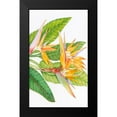 thumbnail image 2 of OToole, Tim 12x18 Black Modern Framed Museum Art Print Titled - Exotic Flowers II, 2 of 5