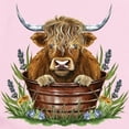 thumbnail image 2 of CafePress - Highland Cow Sitting In A Metal - Long Sleeve Cotton Baby Bodysuit, 2 of 4