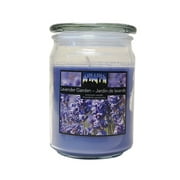 Citi-Lites 15 Ounce Apothecary Jar-Lavender Garden (Pack of 3)