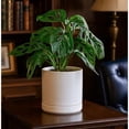 thumbnail image 3 of Set Of 2 Plants Pots 6.5 Inch Ceramic Planter Pot For Plants With Drainage Hole And Saucer White 94-V-C-1, 3 of 8