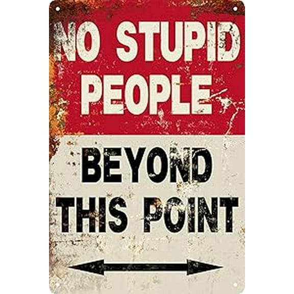 8 x 12 in Metal Tin Sign - Metal Sign Funny Quote No Stupid People Metal Tin Sign Wall Decor Vintage People Beyond This Point Tin Sign Retro Decor Gift Wall Decor For Bars Restaurants Cafes Pubs