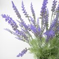 thumbnail image 4 of Gwong Decoración hogareña 1 Ramo 15 cabezas Lavanda Artificial Simulación Flower Inicio Decoración de Boda Gwong 99948, 4 of 6