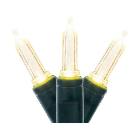 Vickerman 50 Warm White Italian LED Light on Green Wire, 25' Christmas Single Mold Light Strand