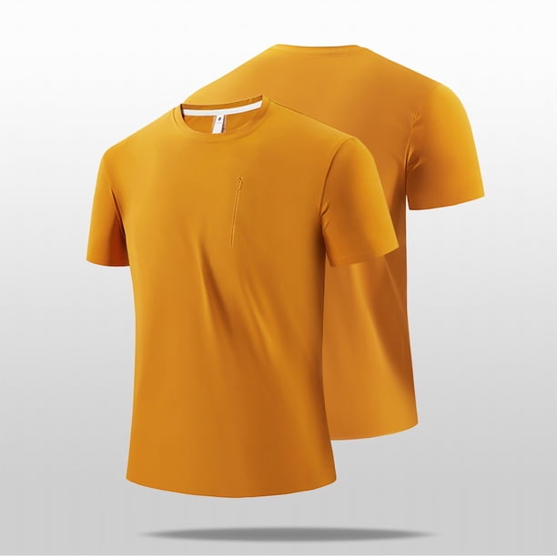 Ceisia Men's Relaxed Fit Ice Silk Athletic T-Shirts, Breathable Quick-Drying Seamless Summer Tops (Multi-Color Options) Gifts