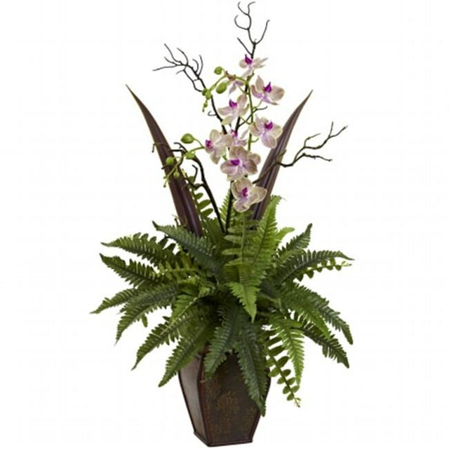 Arrangement de Fougères et d'Orchidées