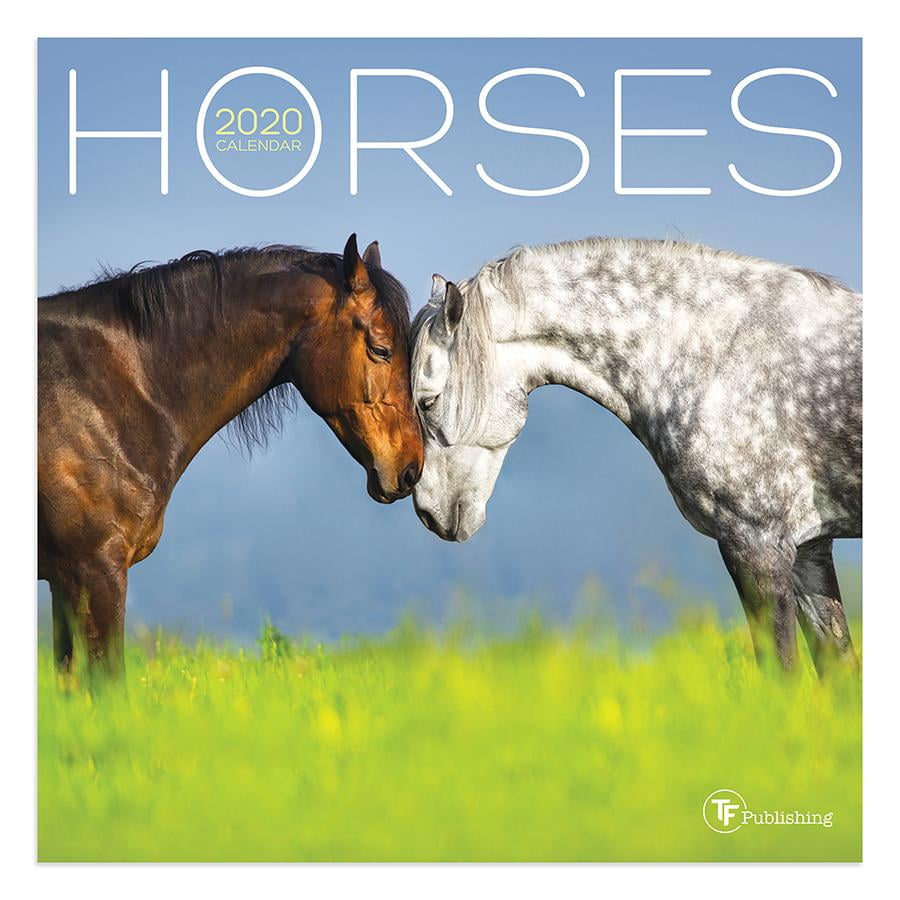 2020 Horses Mini Calendar