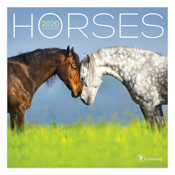 2020 Horses Mini Calendar