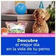 thumbnail image 4 of Bolsas Plásticas Reutilizables Ziploc Para Guardar y Organizar 1 Paquete con 10 Bolsas Tamaño Grande, 4 of 5