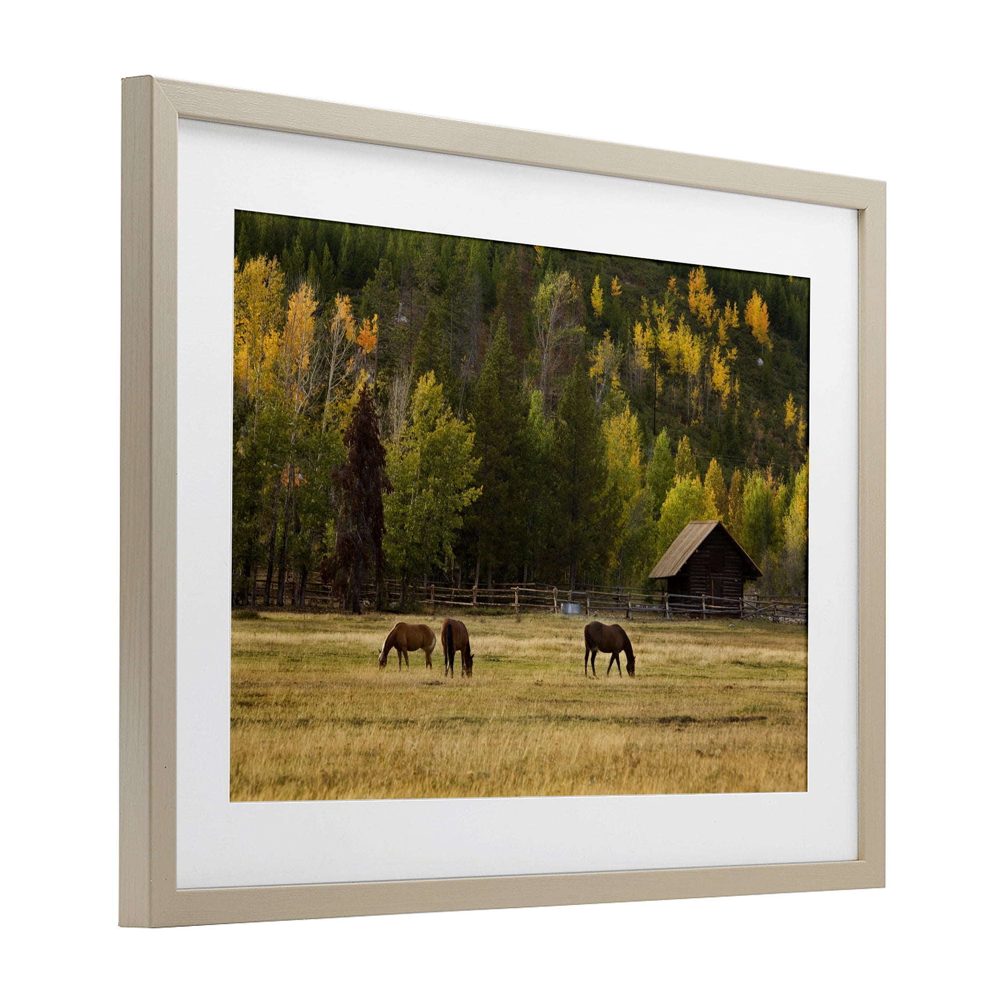Stupell Industries Horses In Jackson Hole Birch Framed Print Under Glass, design by Scott Stulberg