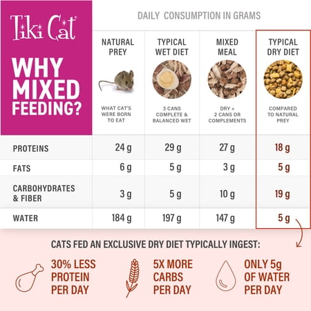 TIKI PETS TIKI CAT BORN CARNIVORE BROTHS WET CAT FOOD TOPPER, SALMON, 1.3 OZ. POUCH