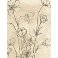 thumbnail image 2 of Vess, June Erica 19x24 White Modern Wood Framed Museum Art Print Titled - Vintage Wildflowers II, 2 of 4