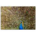 thumbnail image 1 of Picture-Tiles.com: Bird Ceramic Tile Wall Mural WAL500197-64L. 48"W x 32"H using (24) 8" x 8" Ceramic Tiles-Satin Finish, 1 of 3