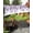 Purple, variant on Purple Eucalyptus Leaves Sun Sail Shades Rectangle Canopy,Sunlight Block Heavy Duty Curved Backyard Shade Cover,Watercolor Floral Leaf Plants Waterproof Sun Shades for Patios Garden Pergola 14'x18'