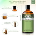 thumbnail image 4 of PHATOIL 100% Natural Camphor Essential Oil for Skin, DIY, Candle and Soap Making, 3.38 Fl Oz, 4 of 8