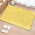 thumbnail image 3 of Lovely Lemon Front Door Rugs 2x3 ft Simple Yellow Fruit Slices Pastoral Botanical Small Rug for Entryway Non Slip Washable Bathroom Door Mat Absorbent Floor Mat for Indoor Entrance, 3 of 9