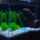 thumbnail image 3 of 200 Uds piedras luminosas para acuario guijarros compactos para acuario gravas decorativas para acuario, 3 of 5