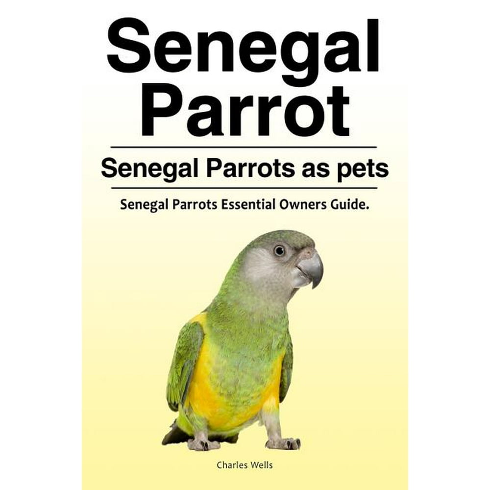 Senegal Parrot. Senegal Parrots as Pets. Senegal Parrots Essential