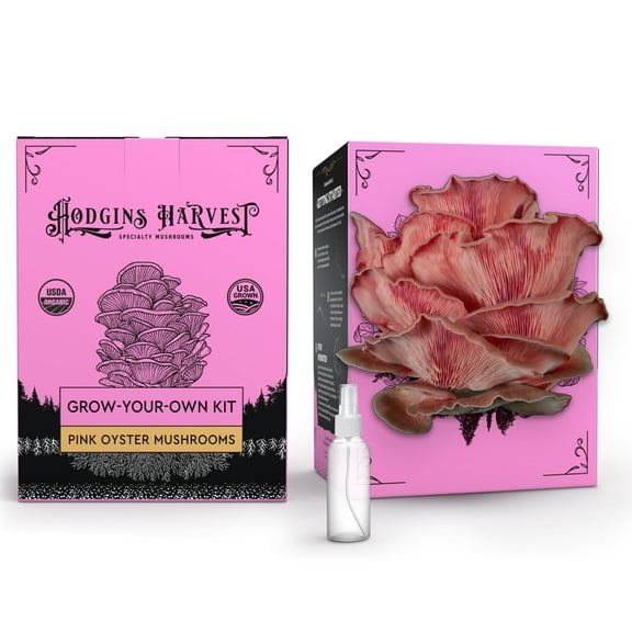 Hodgins Harvest Pink Oyster Mushroom Grow Kit with First Flush Guarantee