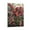 Frame-style, variant on Blaze Climbing Roses Artworks Canvas Poster Room Aesthetic Wall Art Prints Home Modern Decor Gifts 16x24inch(40x60cm)