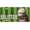 Green, variant on Football Flame Fire Front License Plate for Women Car Vanity Plates Decorative Aluminum Metal Cute Novelty License Plate Cover for Men 6x12 Inch (4 Holes)