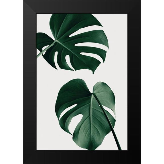Artographie Studio 13x18 Black Modern Framed Museum Art Print Titled - Monstera Natural 18