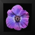 thumbnail image 2 of Reynolds, Richard 15x15 Black Modern Framed Museum Art Print Titled - Grecian Windflower, 2 of 5