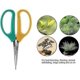 thumbnail image 3 of Hand Cut Pruning Scissors Stainless Steel Garden Bonsai Secateurs Scissors Pruning Shears Plants Tool For Gardening Pruning Grass Flower Secateur, 3 of 5