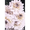 thumbnail image 3 of 1x Studio III 17x24 Black Modern Framed Museum Art Print Titled - Pinkish Flowers, 3 of 5