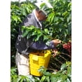 thumbnail image 6 of Tostao' Supremo Medium Roast Ground,  100% Colombian Arabica Coffee, 12oz, 6 of 8