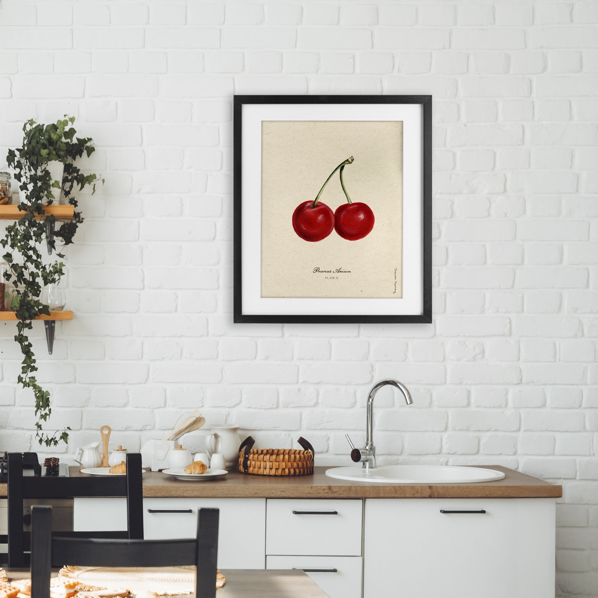 Stupell Industries Cherry Fruit Portrait Black Framed Print Under Glass, design by Danielle Murray