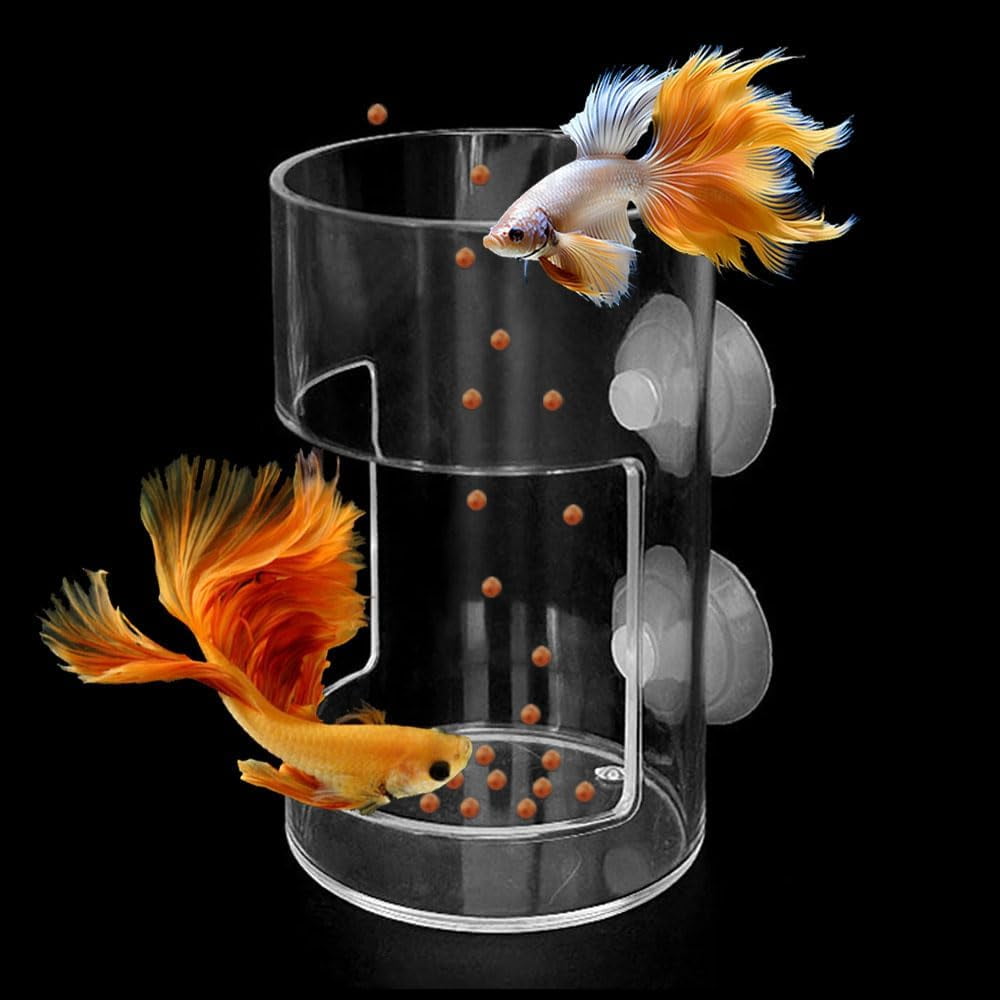 Feeding Ornamental Fish With Trays: Easy Tips for Healthy Fish