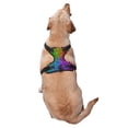 thumbnail image 2 of JUNZAN Colorful Glitter Pattern Dog Harness - Lightweight,Soft,Adjustable Small Harness-Medium, 2 of 6
